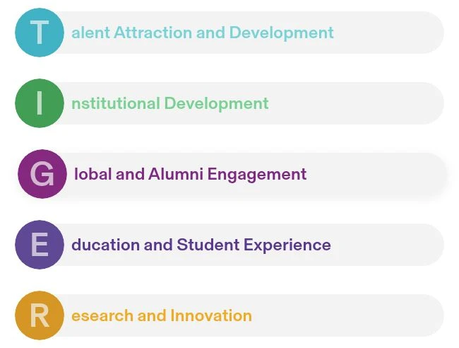 The complete five colour-coded TIGER priority links on the CUHK strategic-plan website