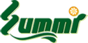 Summi (Group) Holdings Summi (Group) Holdings